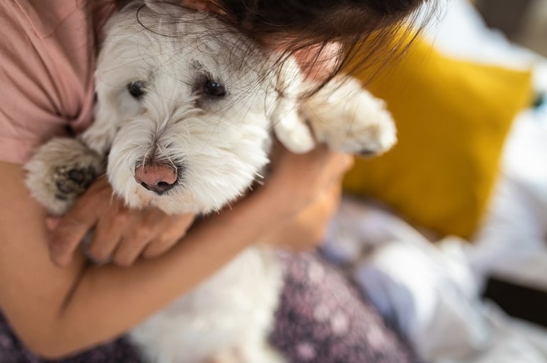 Don’t Neglect Your Mental Health When You Lose a Pet